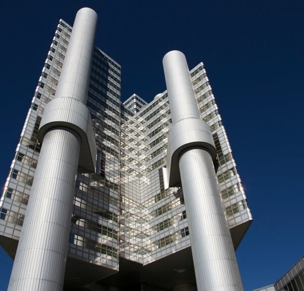 backlink growth and authority