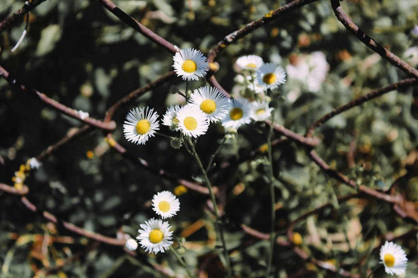 internal linking boosts growth