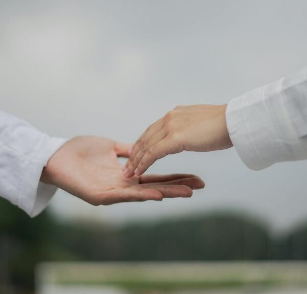 organic reach with links